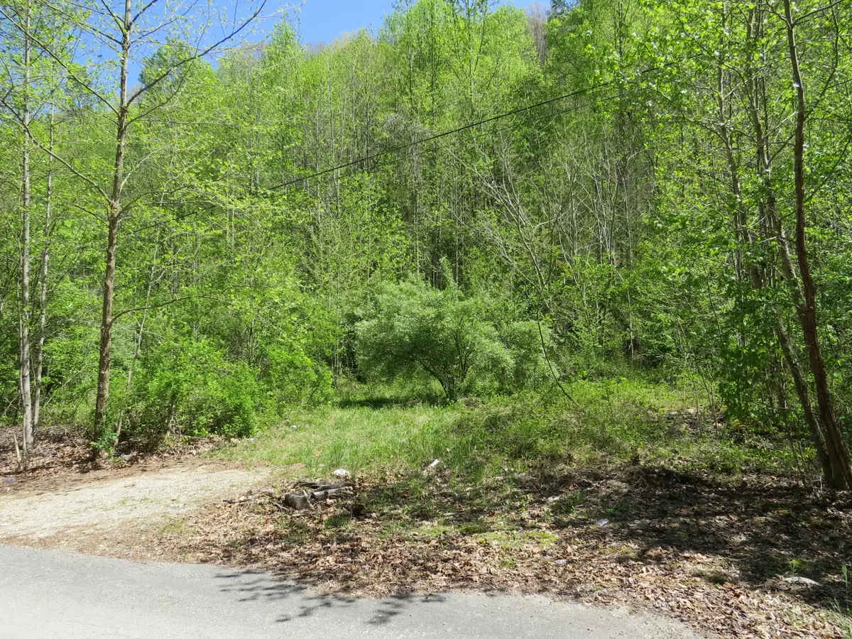 0 Trace Branch Road, Flat Lick, KY 40935 - #1