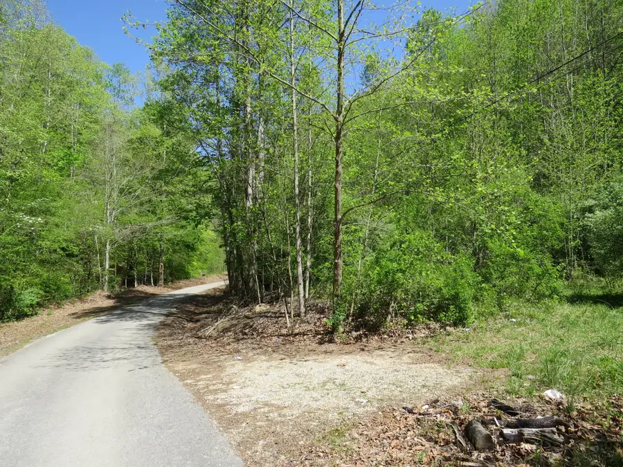 0 Trace Branch Road, Flat Lick, KY 40935 - #3