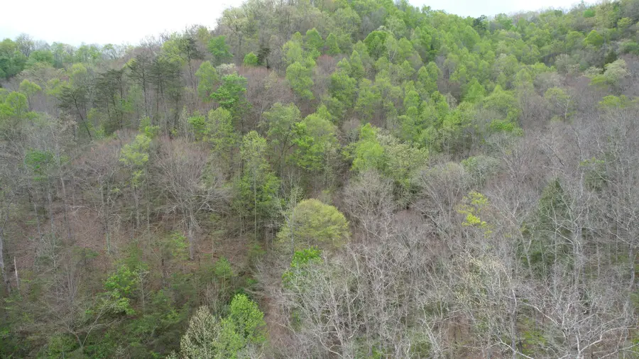321 Mill Creek Road, Jackson, KY 41339 - #2