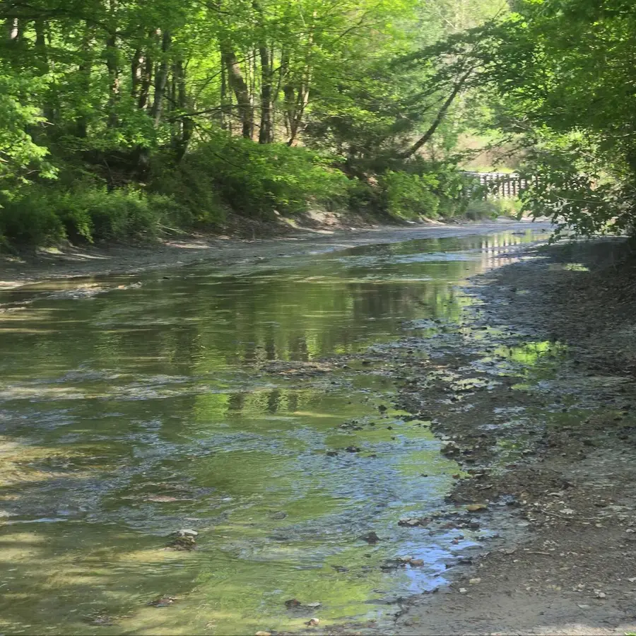 0 S Fishing Creek Road, Waynesburg, KY 40489 - #3