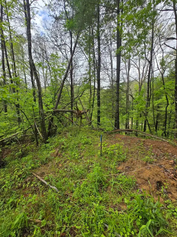 Lot 52  Soul Canyon Hideaways Development, Zoe, KY 41397
