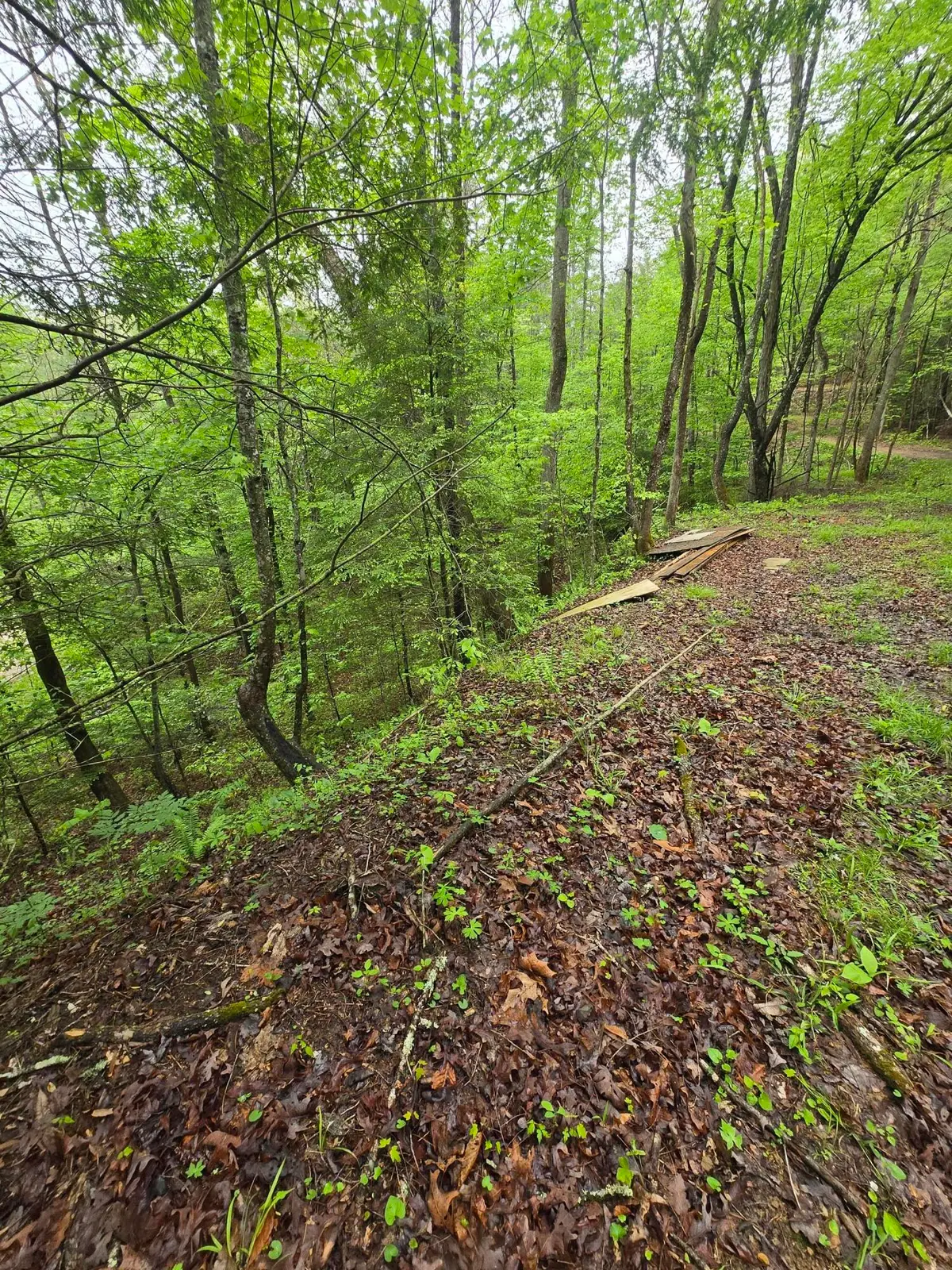 Lot 53 Soul Canyon Hideaway, Zoe, KY 41397 - #1