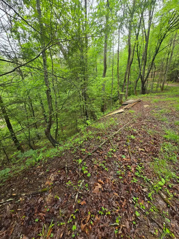 Lot 53 Soul Canyon Hideaway, Zoe, KY 41397