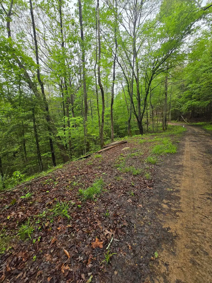 Lot 53 Soul Canyon Hideaway, Zoe, KY 41397 - #2