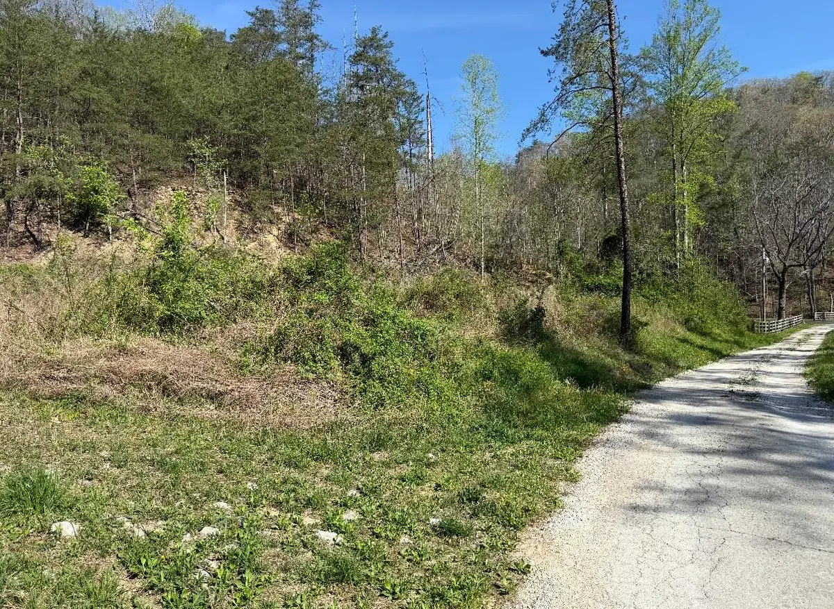 TBD Kentucky 1274, Frenchburg, KY 40322 - #1