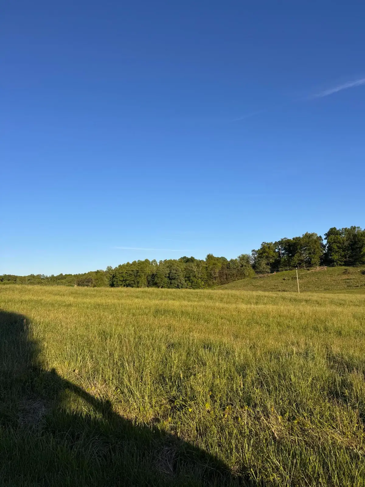 0909090 Slate Lick Road, London, KY 40741 - #1