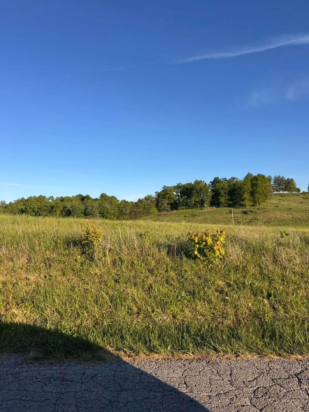 09090909 Slate Lick Road, London, KY 40741 - #1