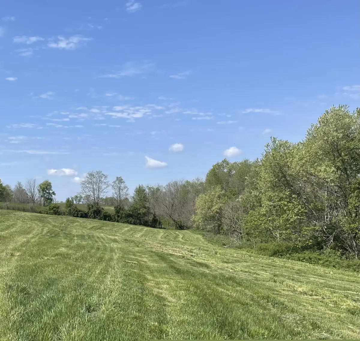 3527 W 36 Highway, Cynthiana, KY 41031 - #1
