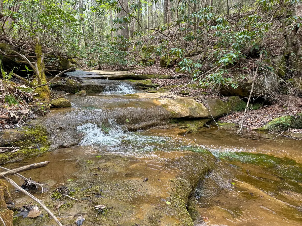 0 Dryfork Road, Helton, KY 40840 - #1