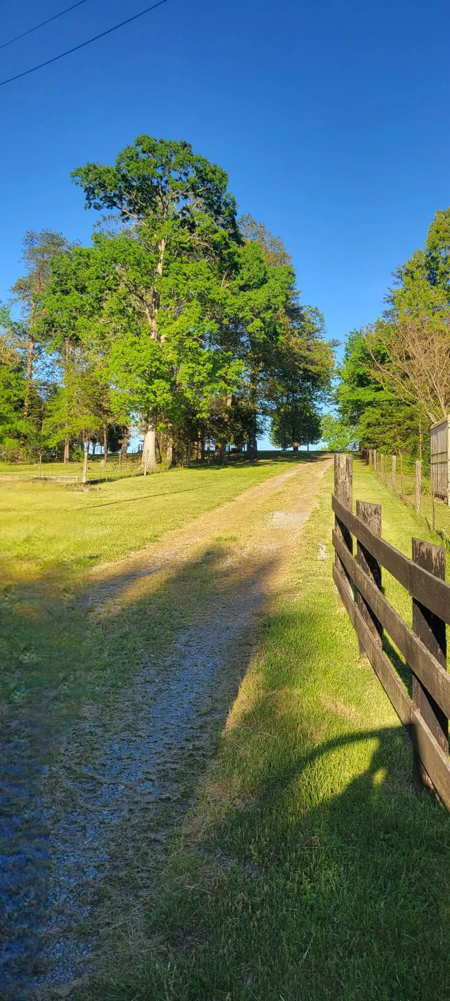 221 Phillips Lane, Junction City, KY 40440 - #2