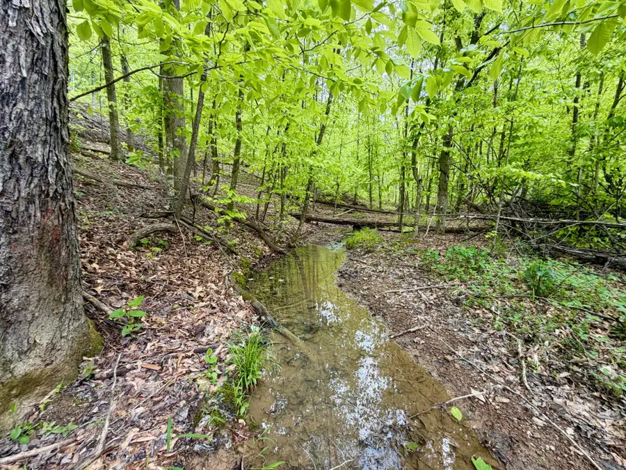 100A Open Fork Road, Morehead, KY 40351 - #2