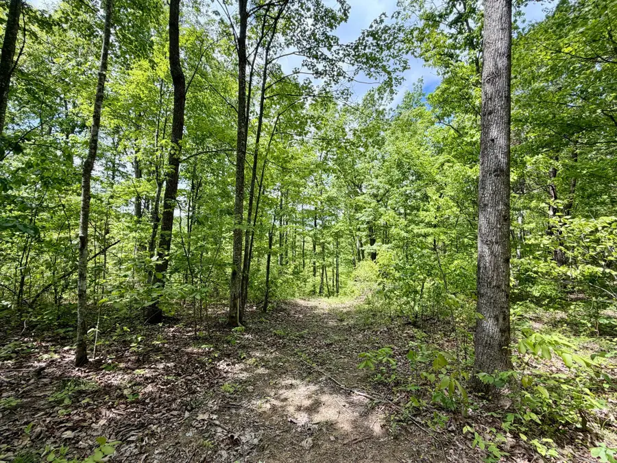 100A Open Fork Road, Morehead, KY 40351 - #3