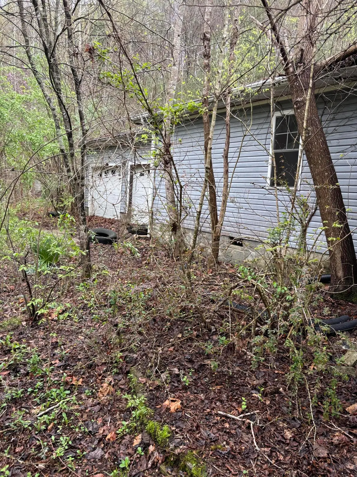 255 Ivanhoe Lane, Barbourville, KY 40906 - #1