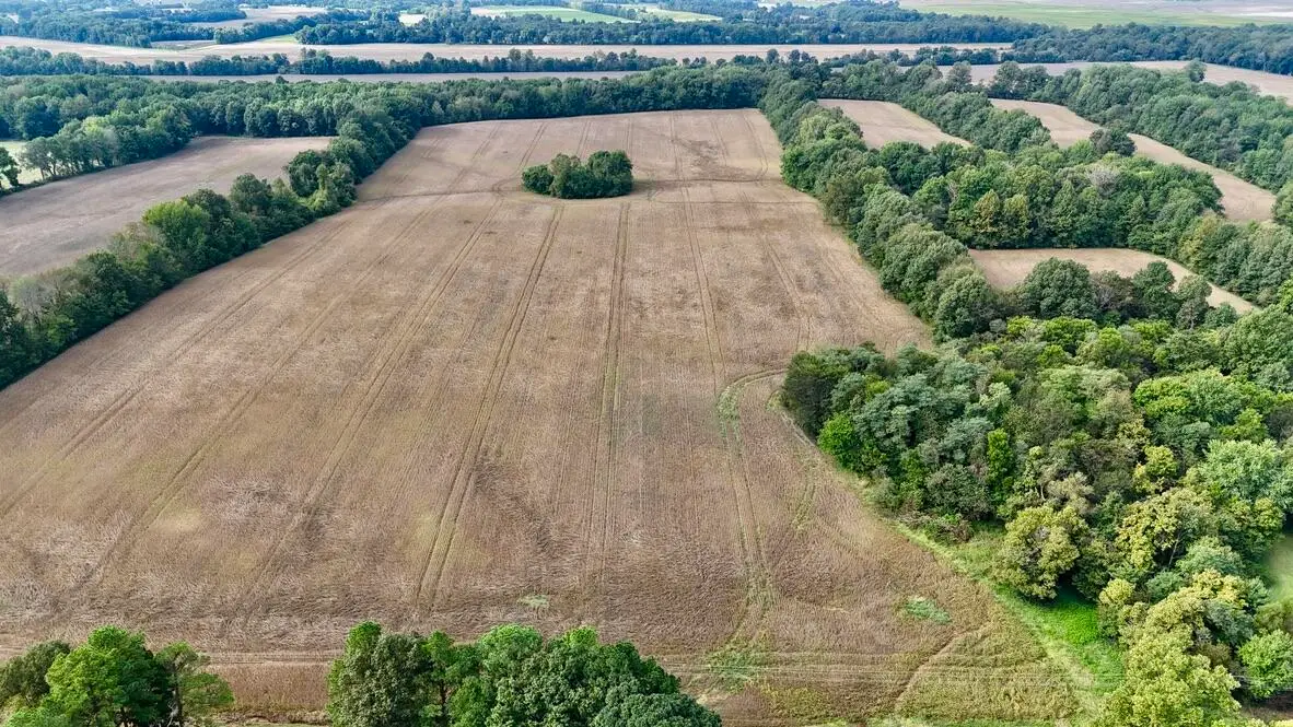 5100 Turner Landing Road, Kevil, KY 42053 - #1