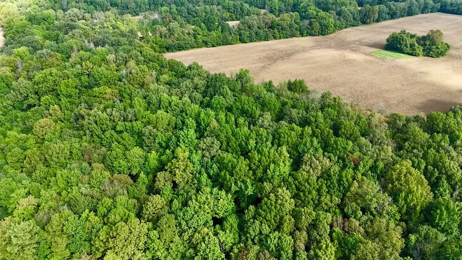 5100 Turner Landing Road, Kevil, KY 42053 - #3