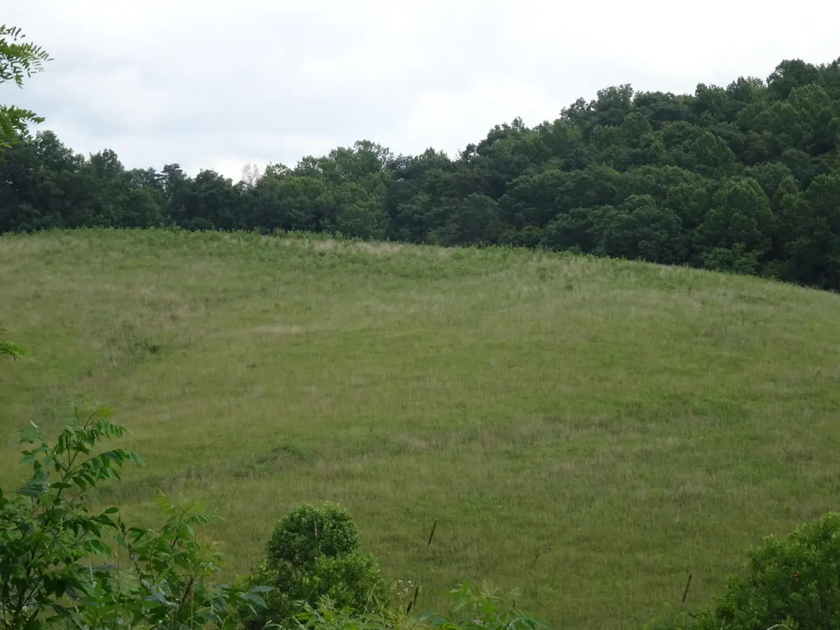 521 Artville Road, Wellington, KY 40387 - #1