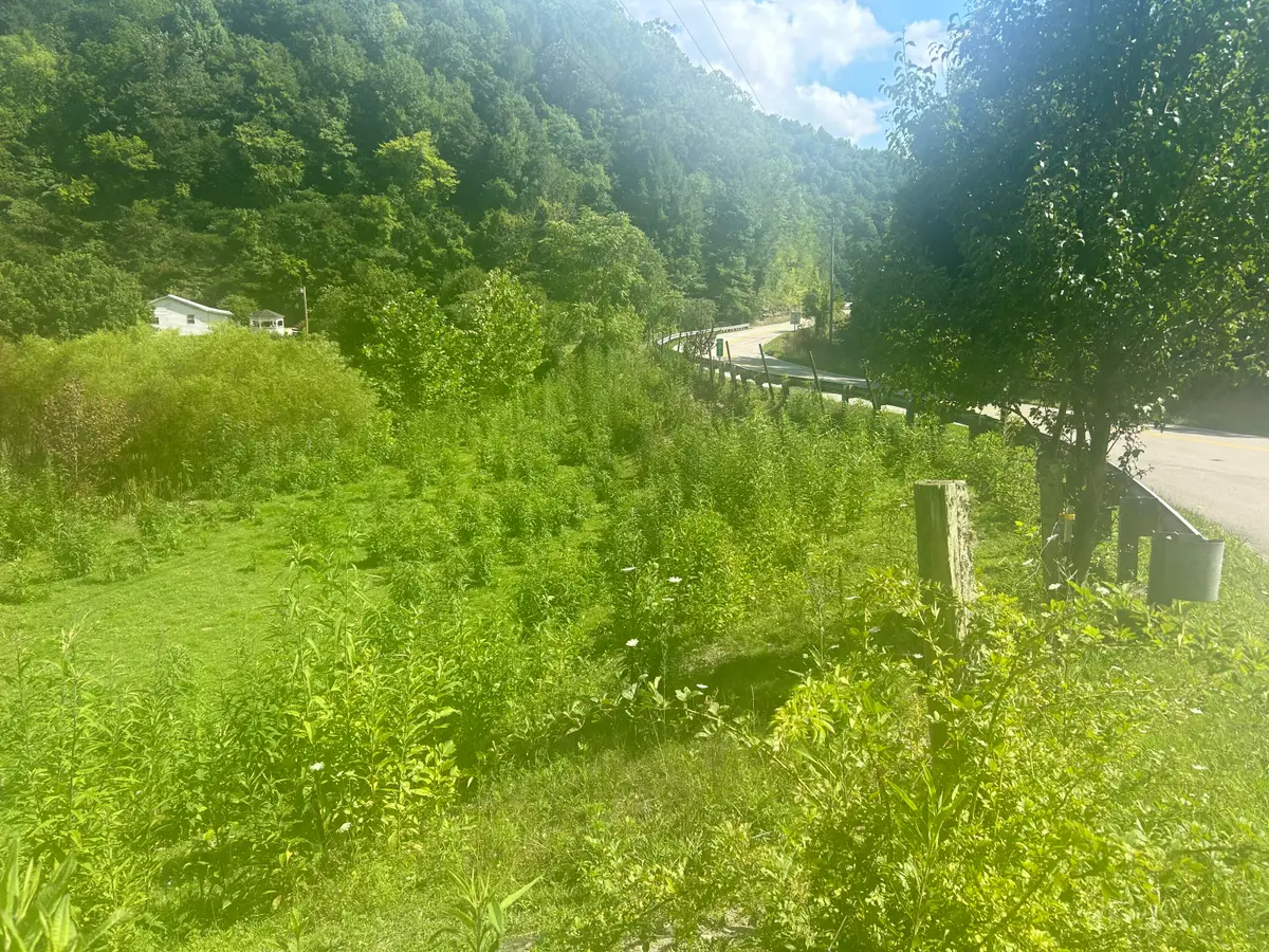 9999 North Hwy 66 Oneida Ky, Oneida, KY 40972 - #1