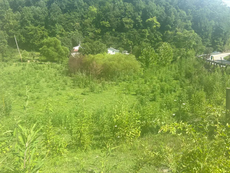 9999 North Hwy 66 Oneida Ky, Oneida, KY 40972 - #2