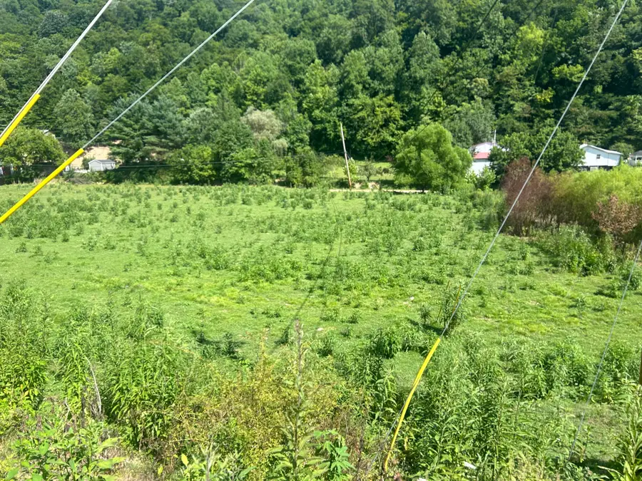 9999 North Hwy 66 Oneida Ky, Oneida, KY 40972 - #3