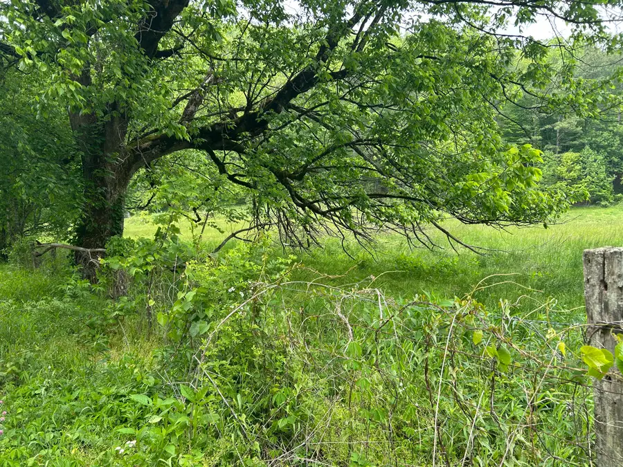 00  Jacks Creek Road, Oneida, KY 40972 - #3