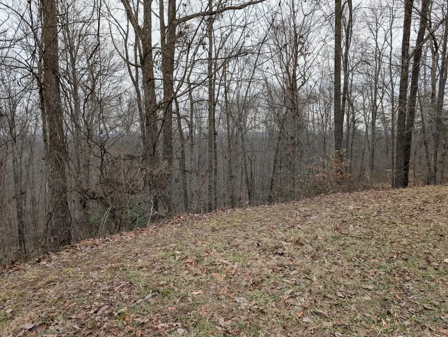 9999 Tip Top Road, Beattyville, KY 41311 - #3