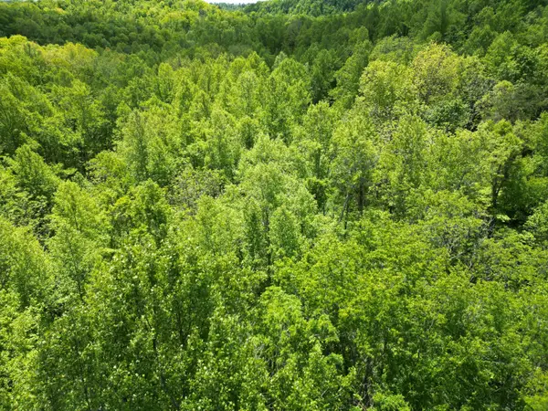 9999 Chestnut Flat Road, McKee, KY 40447