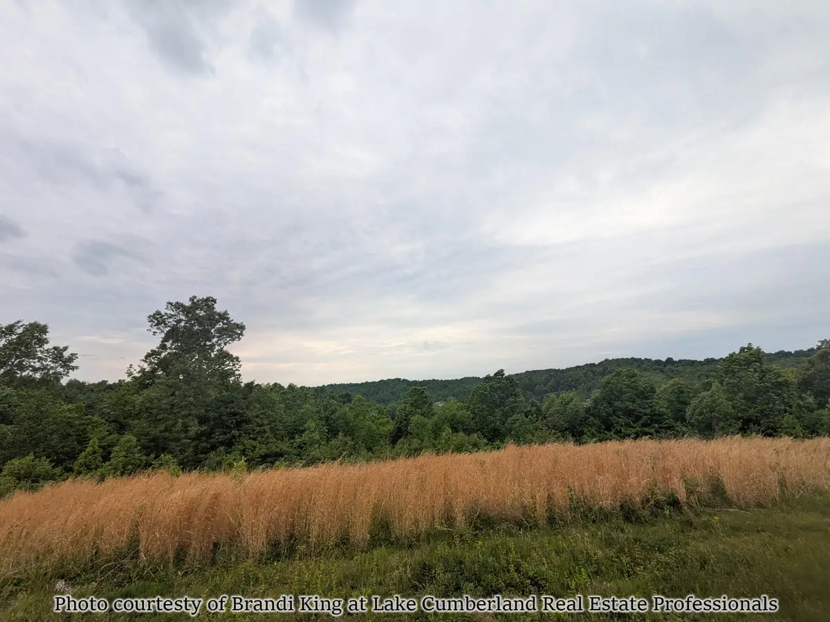 2455 Pierson Fork Road, Tyner, KY 40486 - #1