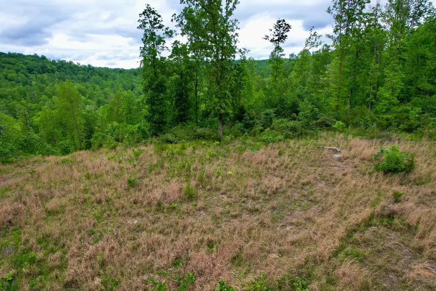 22 Buck Run Ridge Road, Monticello, KY 42633 - #2