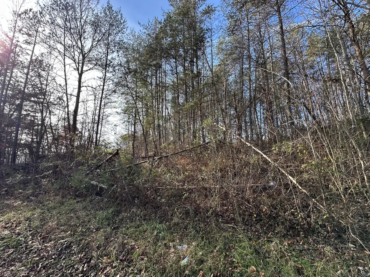 0 Hemlock Subdivision Road, Williamsburg, KY 40769 - #1