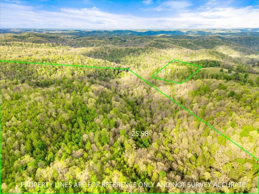 9999 490 Highway, East Bernstadt, KY 40729 - #2