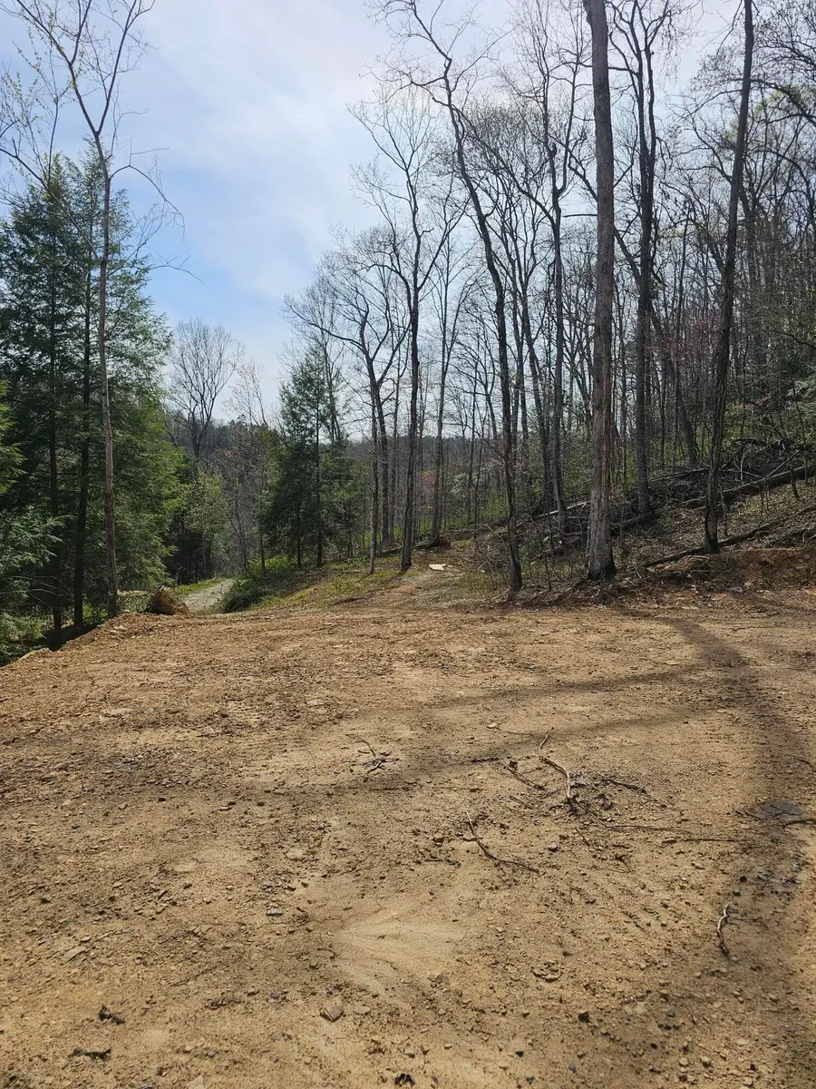 9999 490 Highway, East Bernstadt, KY 40729 - #3