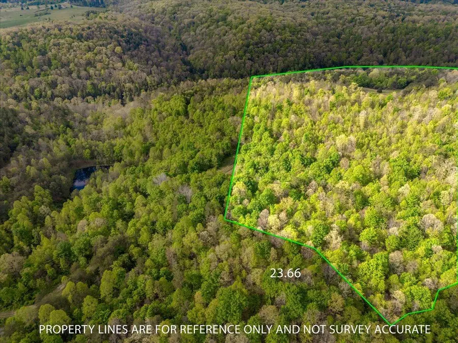 9999 Watt Nantz Road, East Bernstadt, KY 40729 - #3