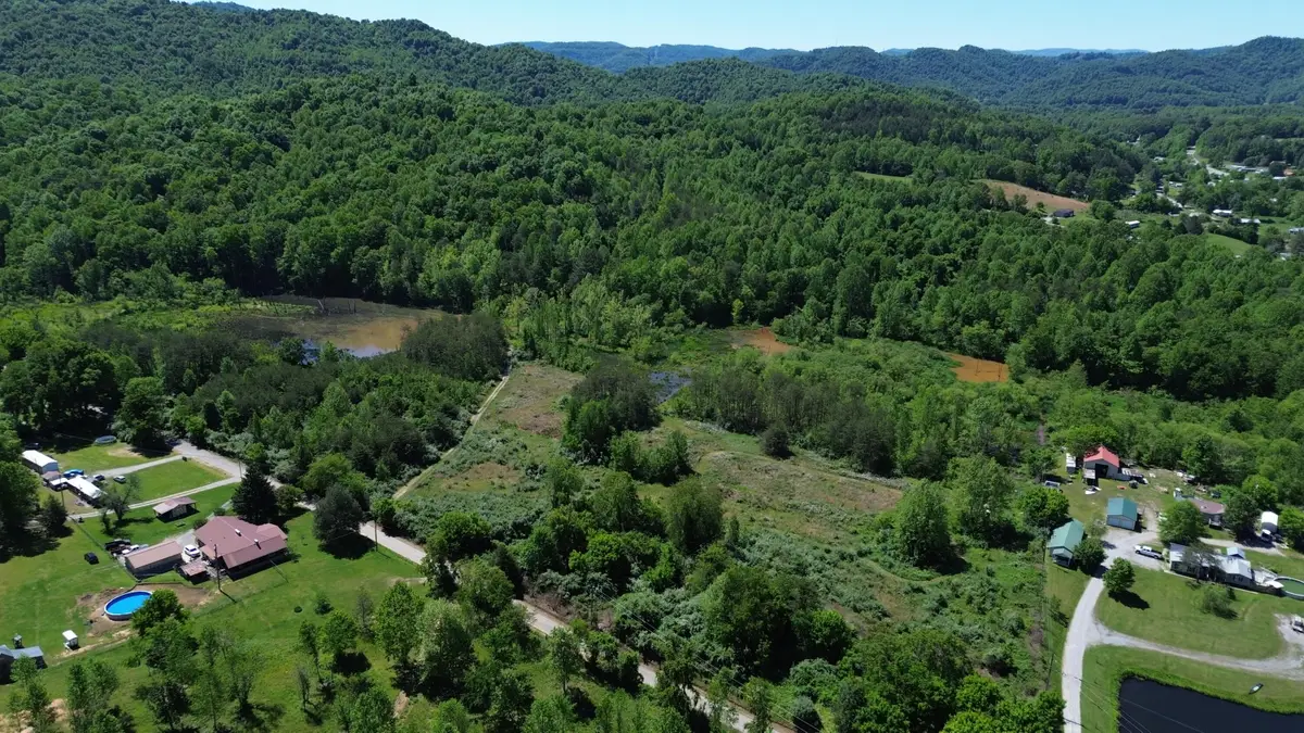 9999 Lick Branch Road, Flat Lick, KY 40935 - #1