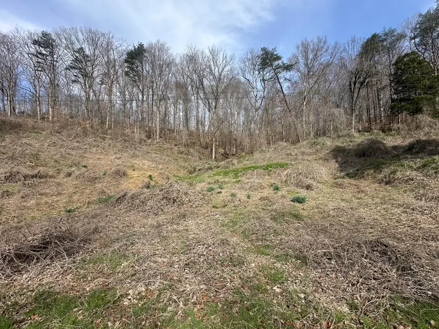 7611 Hwy 1044, Pine Knot, KY 42635 - #2