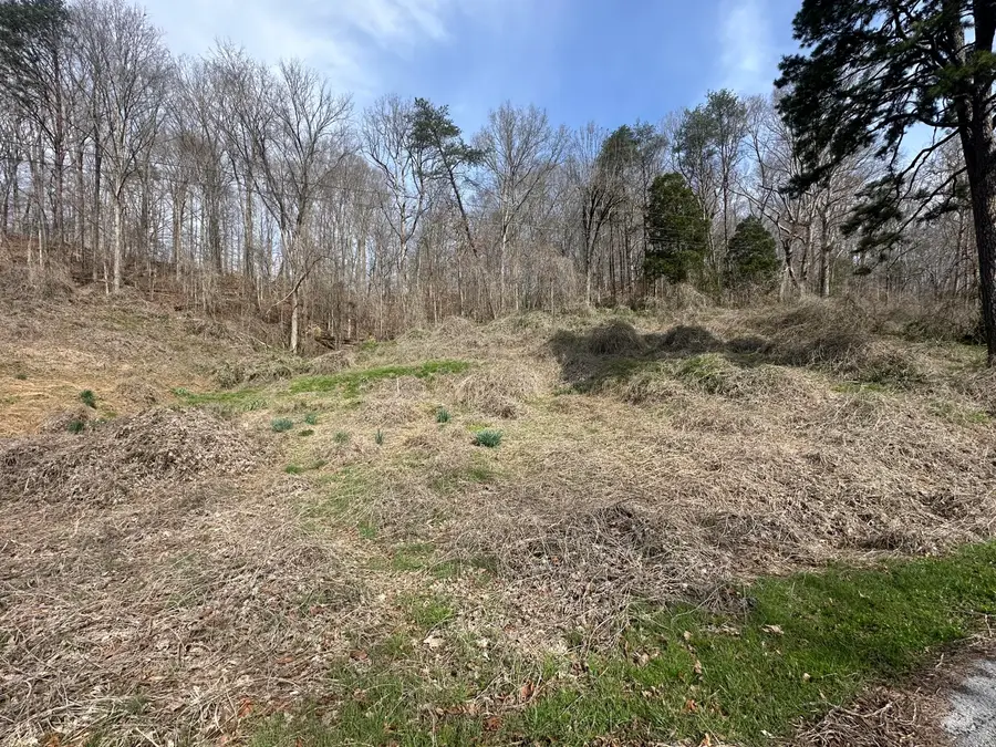 7611 Hwy 1044, Pine Knot, KY 42635 - #3