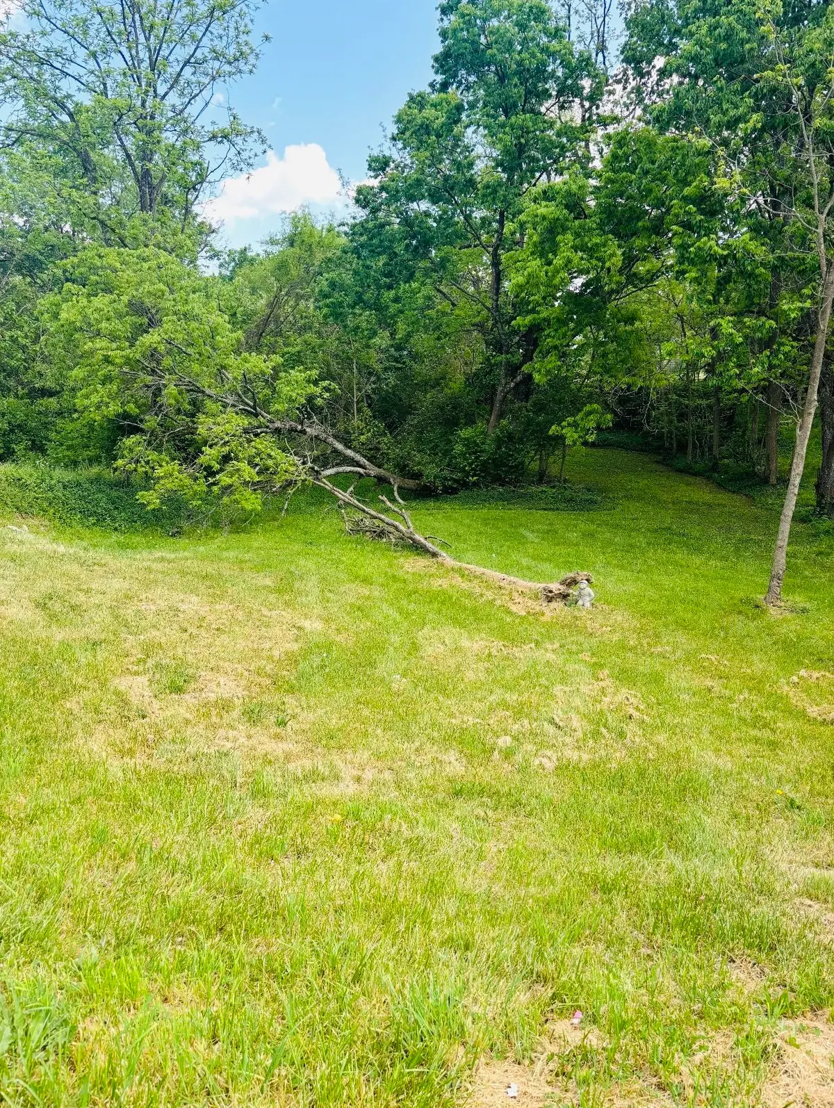 508 E Locust Street, Mount Sterling, KY 40353 - #1