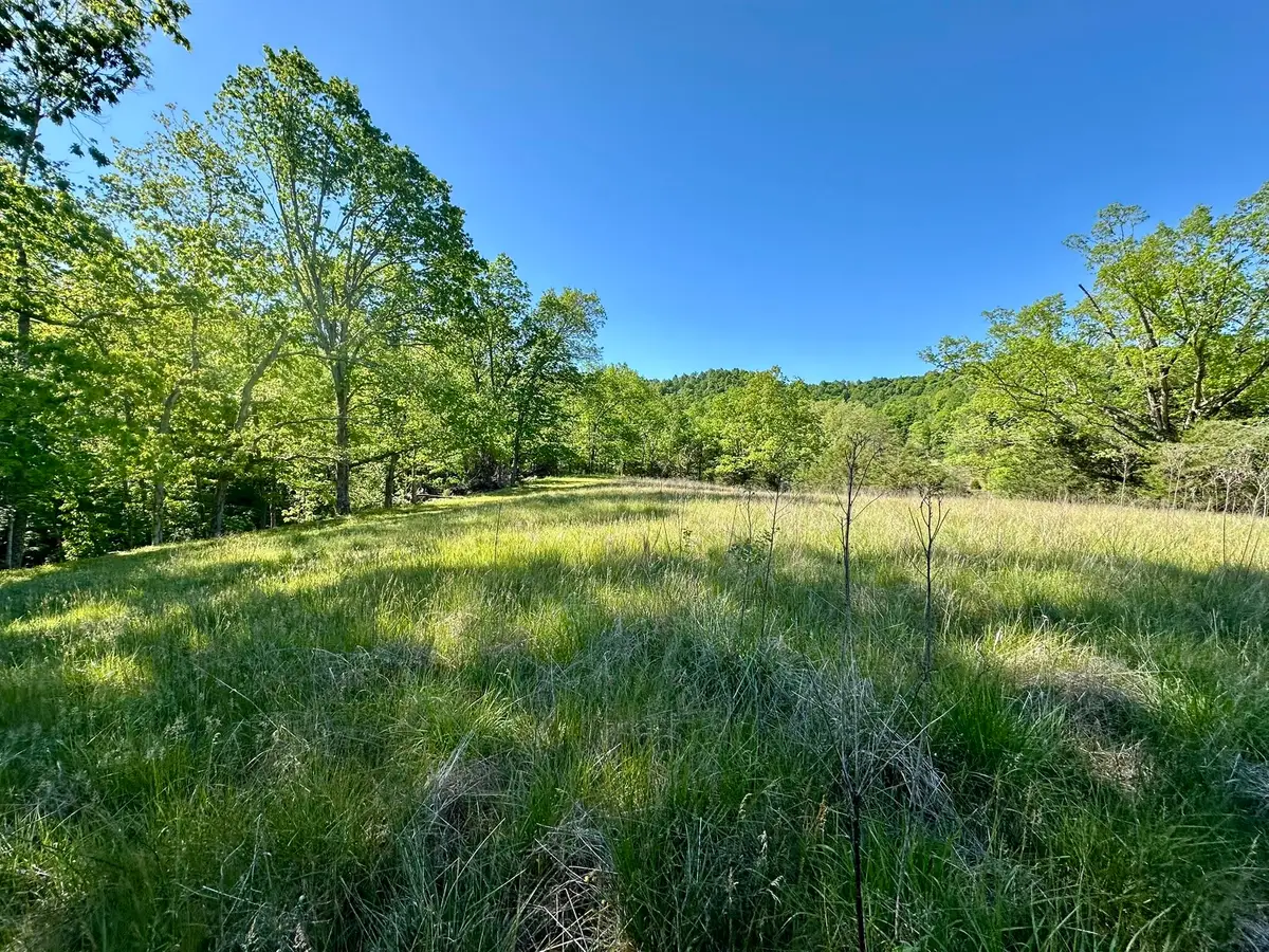 1170 E Doe Creek Road, Liberty, KY 42539 - #1
