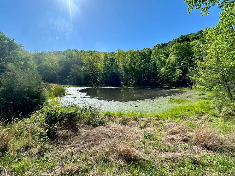 1170 E Doe Creek Road, Liberty, KY 42539 - #2