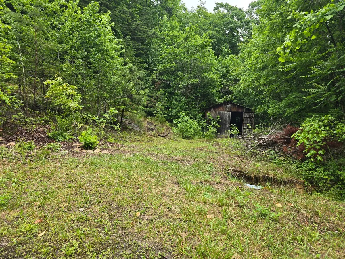 36 Us Hwy 119, Calvin, KY 40813 - #1