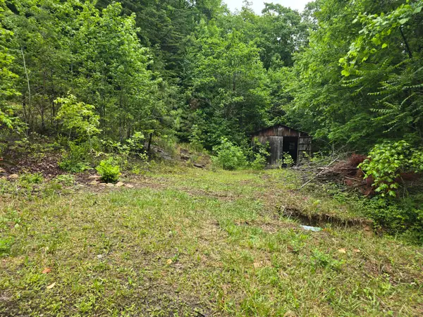 36 Us Hwy 119, Calvin, KY 40813