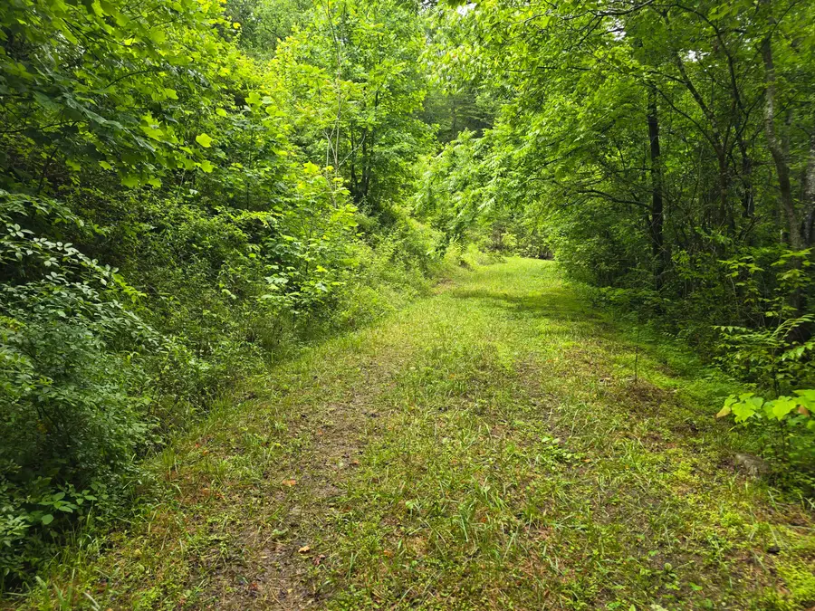 36 Us Hwy 119, Calvin, KY 40813 - #2