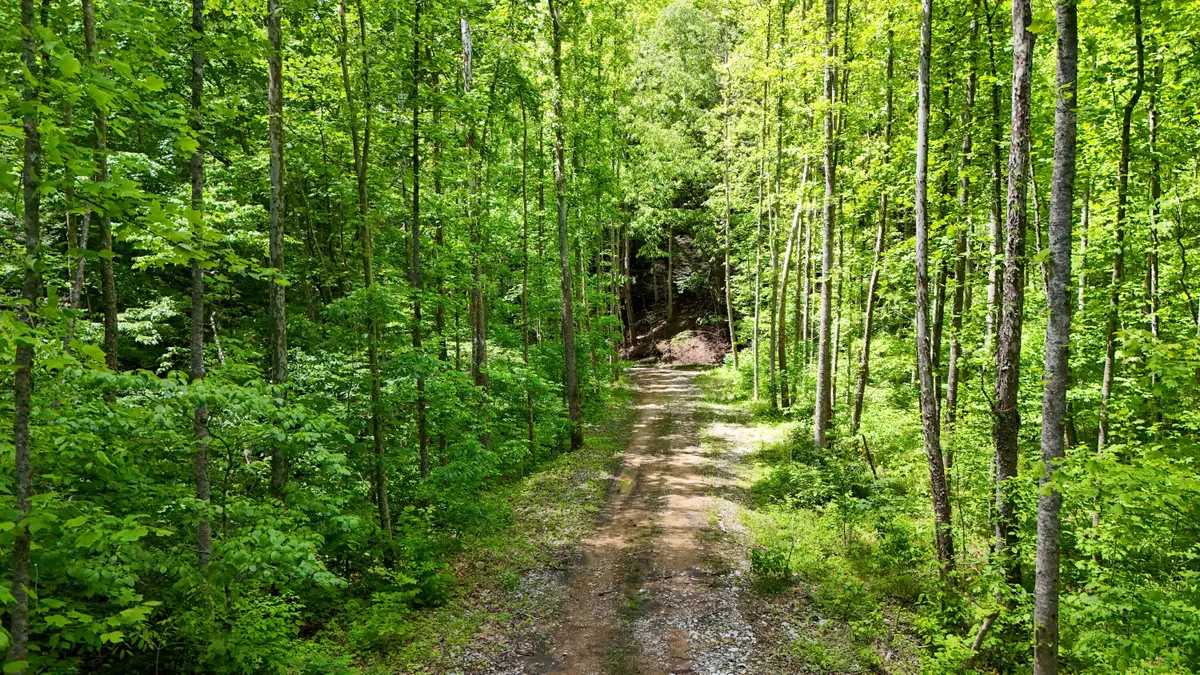 0 Amy Branch Road, Roark, KY 40979 - #1