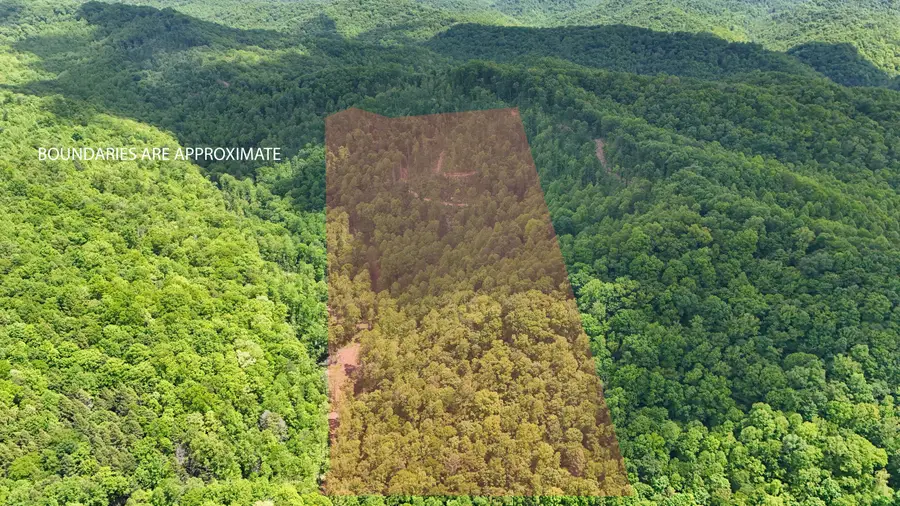0 Amy Branch Road, Roark, KY 40979 - #3