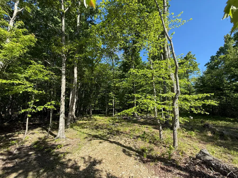 9999 Flatwoods School Road #Tract 4, Crab Orchard, KY 40419 - #3