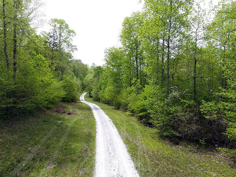 Tract 5 Dogwood Drive, Whitley City, KY 42653 - #2