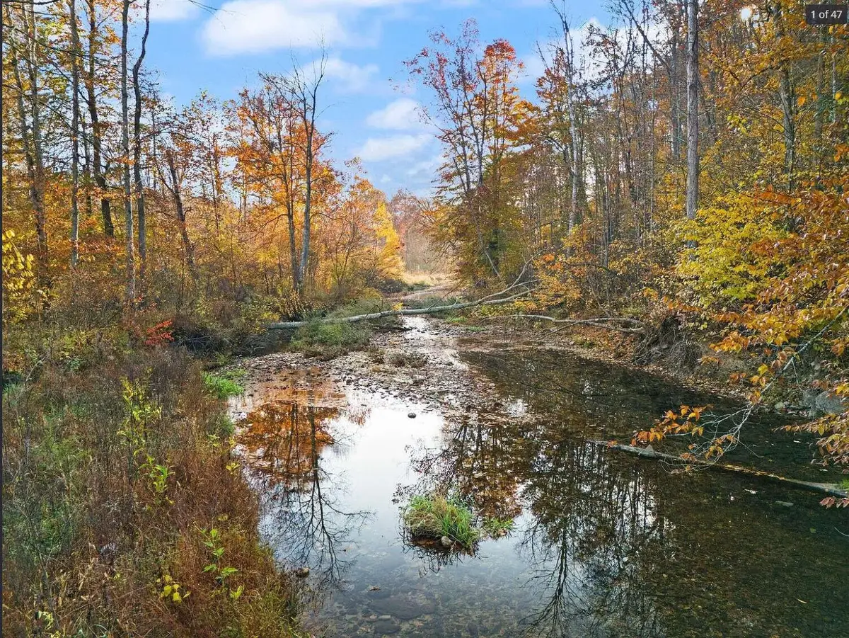 210 Singleton School Road, Eubank, KY 42567 - #1