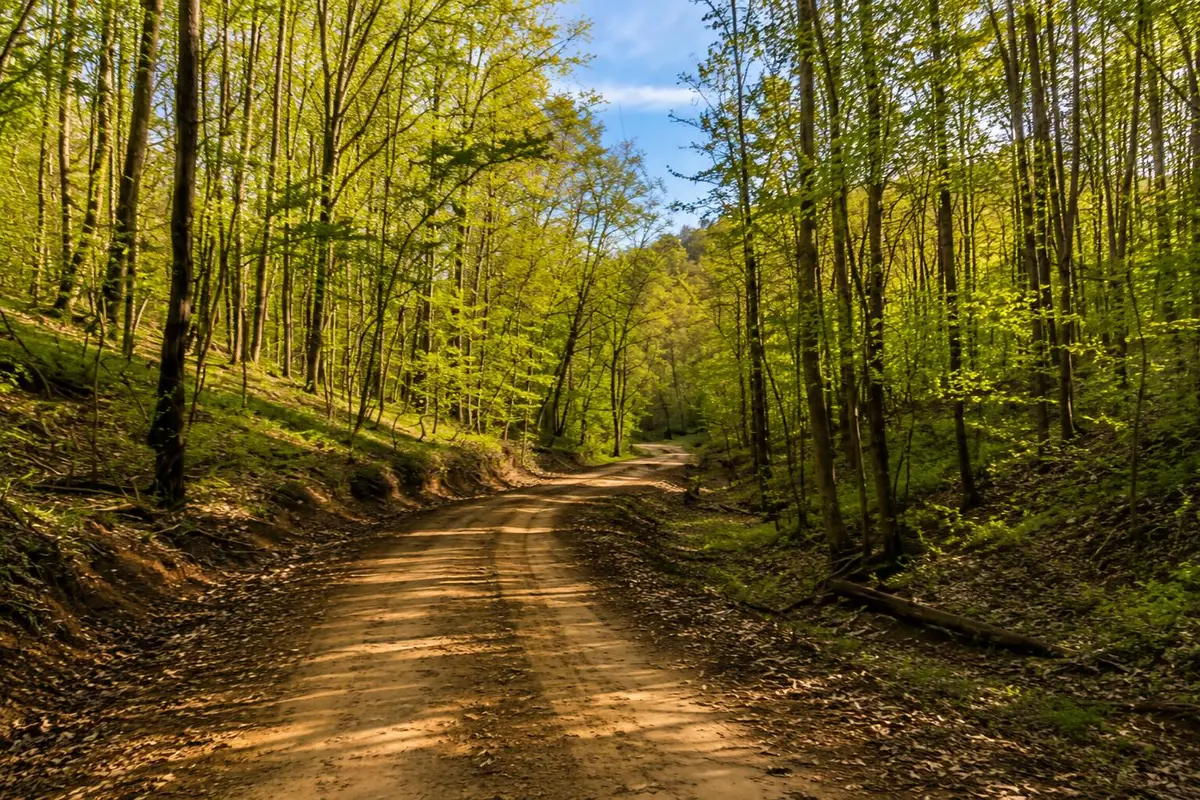 0 Blackstone Mountain Phase Ii Tract 72, Manchester, KY 40962 - #1