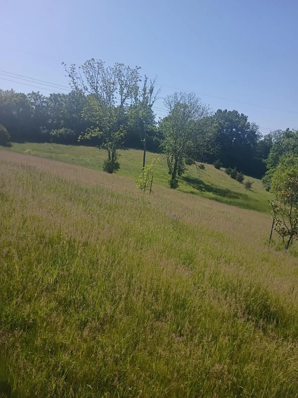 142 Plantation Drive, Richmond, KY 40475 - #1