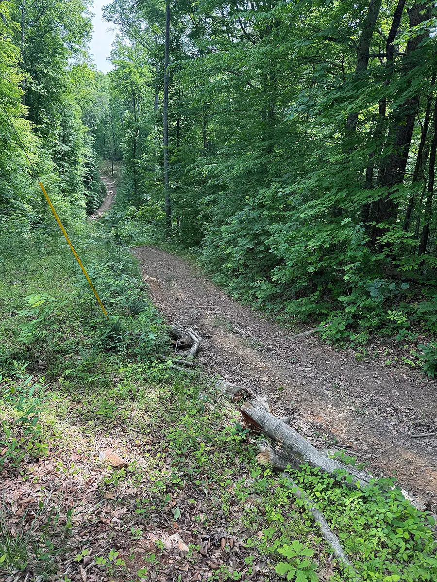 Lots 28-33  Twin Oak Road, Nancy, KY 42544 - #3