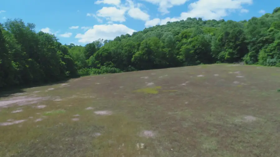 4570 Pointer Creek Road, Nancy, KY 42544 - #3